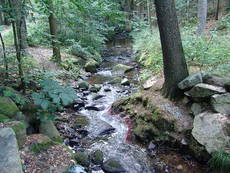 duerrhennersdorfer-wasser.jpg  